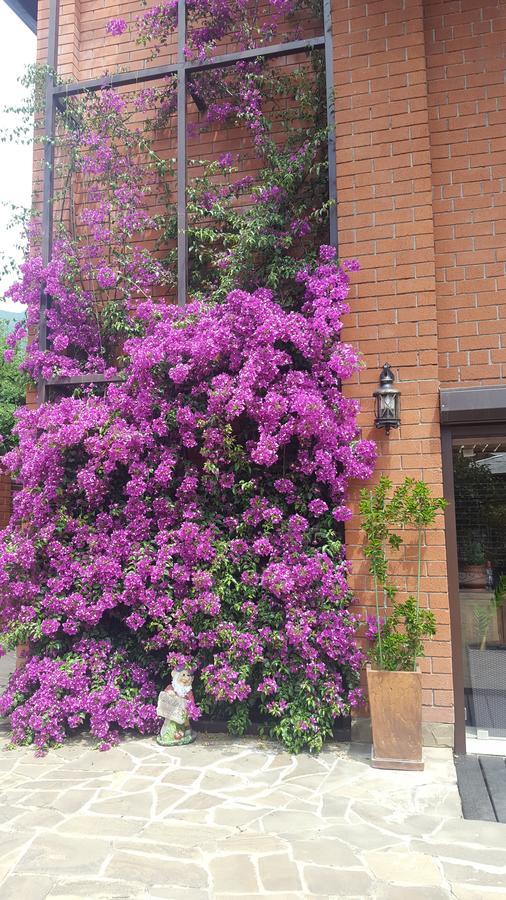 Guest House Belweder 加格拉 外观 照片